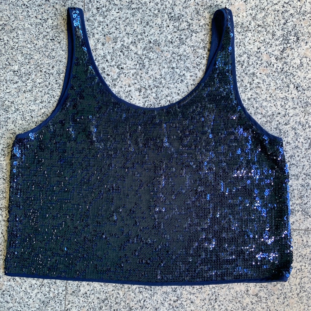 Club Monaco blue sequin crop top